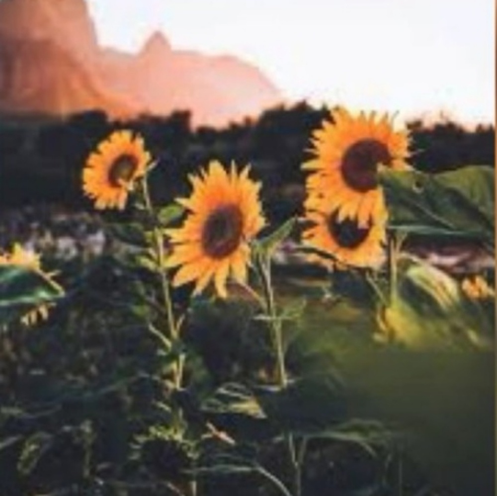 Meet your Posher, Kristina